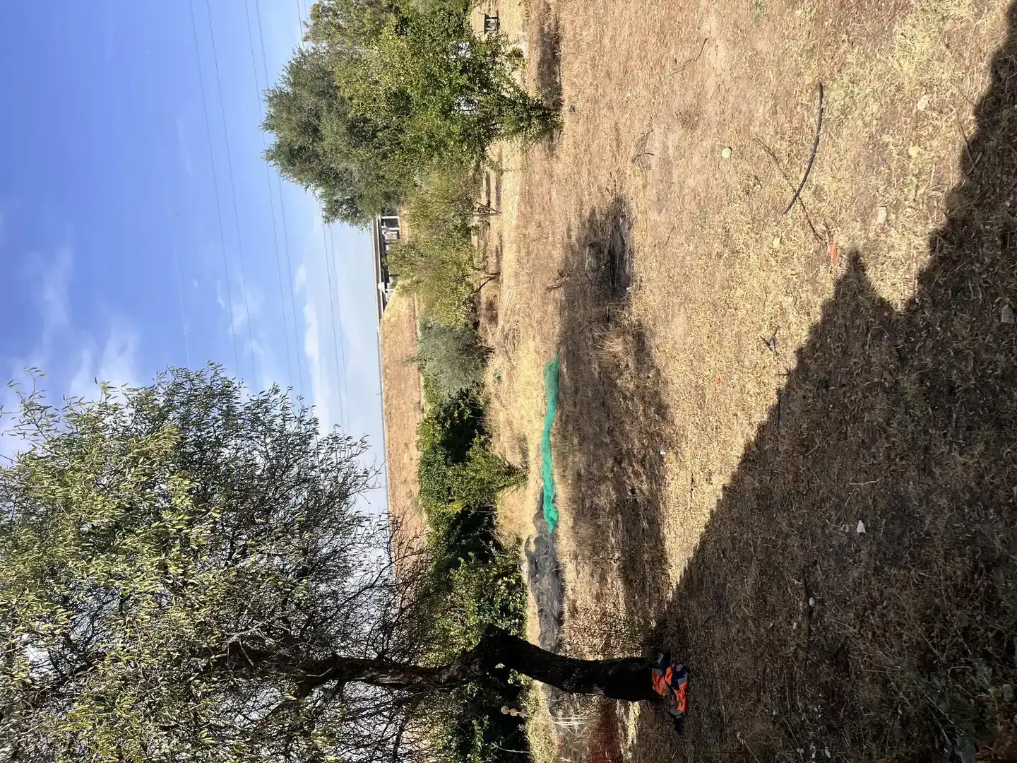Land for sale in Pinto