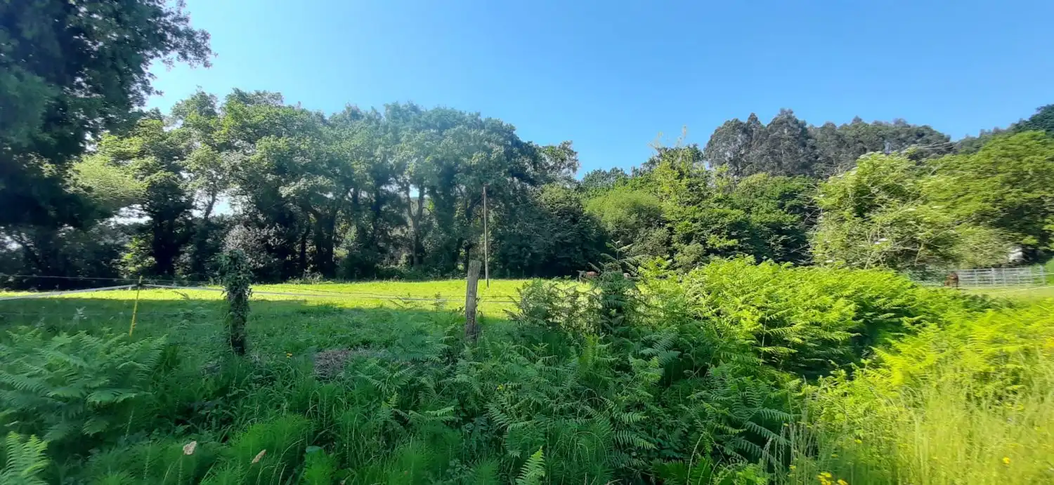 Residencial en venta en Escalante