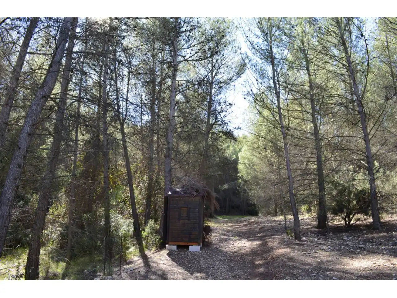 Lands and plots for sale in Pasaje Rincones y Sierra Espuña, imagen 2