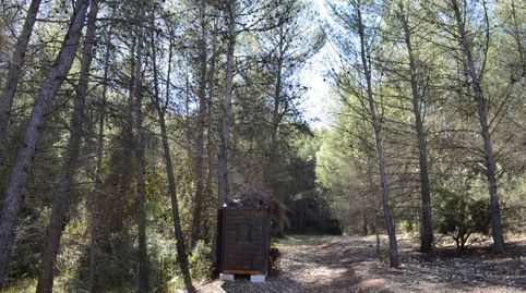 Finca rustica en venta en Paraje Rincones y Sierra EspuñaMula, immagine 2
