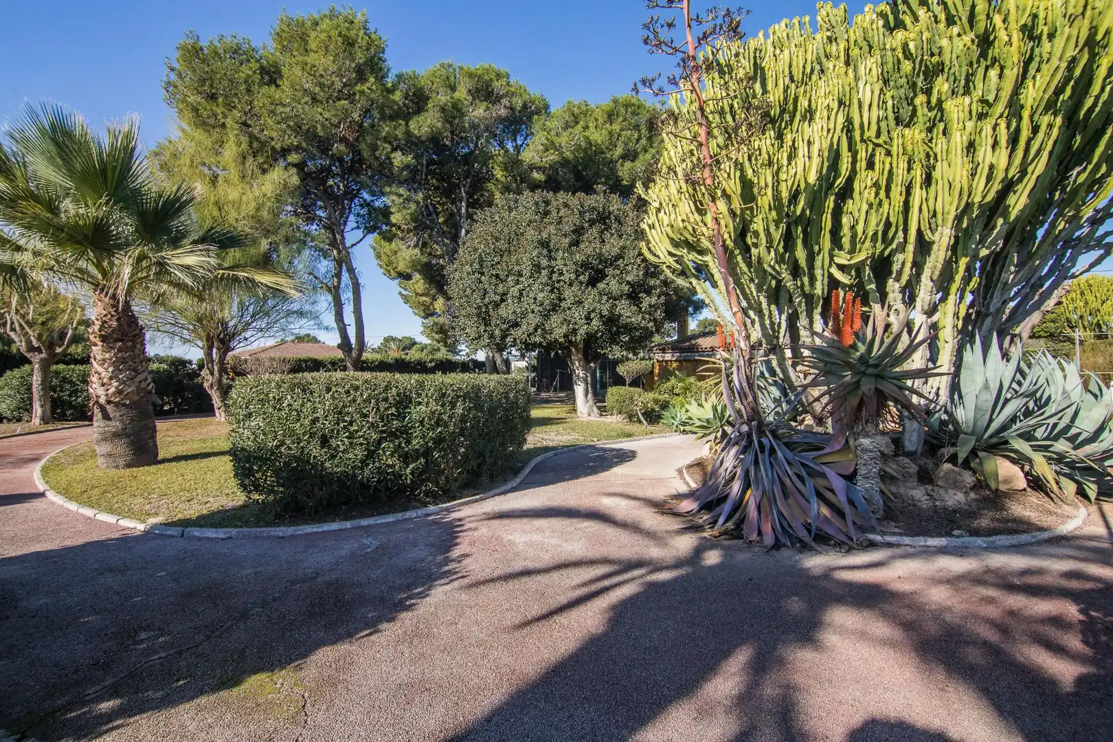 Garden of Houses for sale in Elche / Elx  with Private garden, Storage room and Swimming Pool