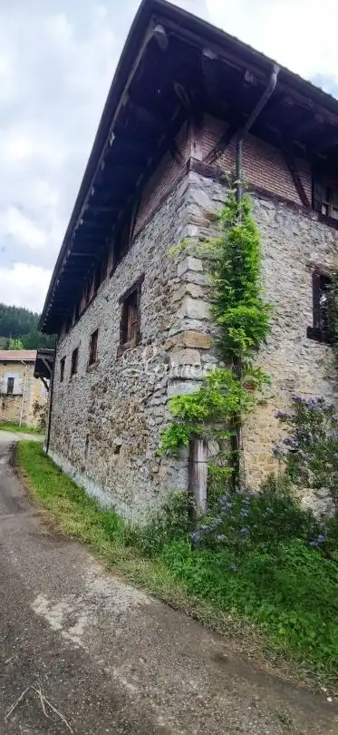 Vista exterior de Casa adosada en venta en Zeberio