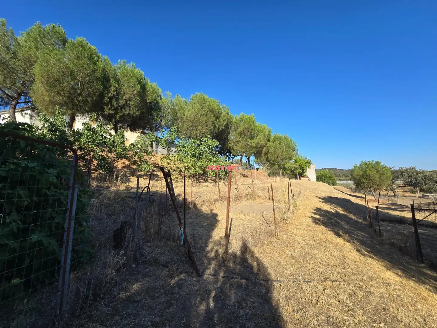 Houses for sale in Añora, Córdoba