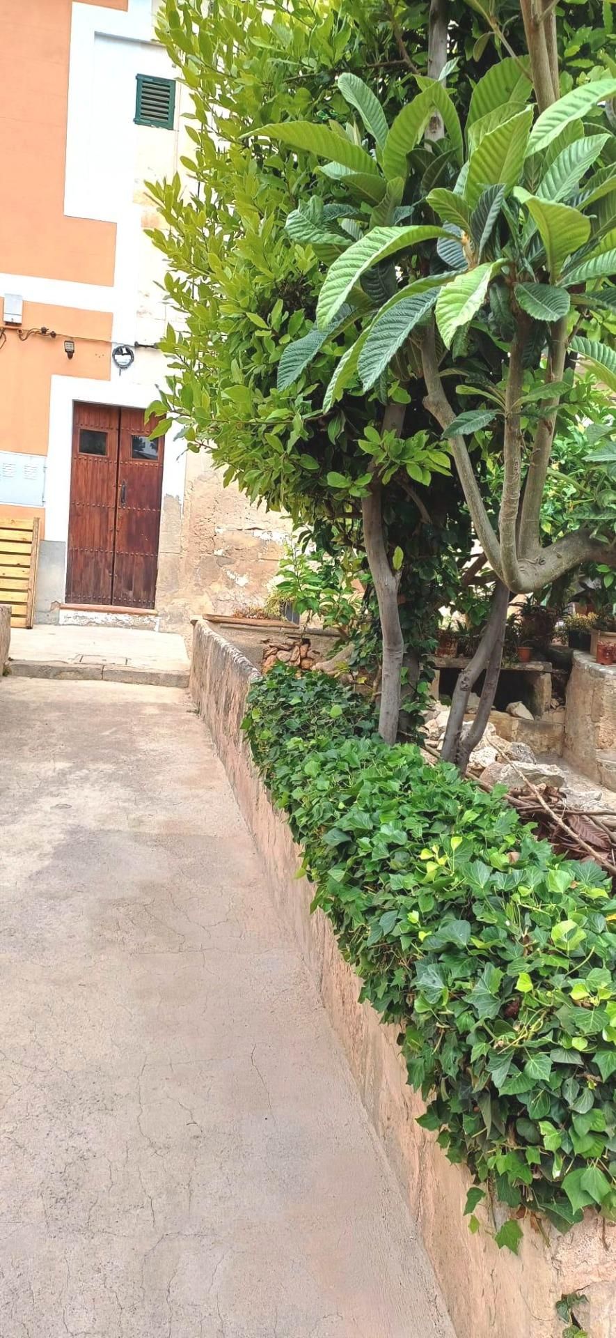 Jardí de Casa o xalet en venda en  Palma de Mallorca amb Calefacció, Jardí privat i Terrassa