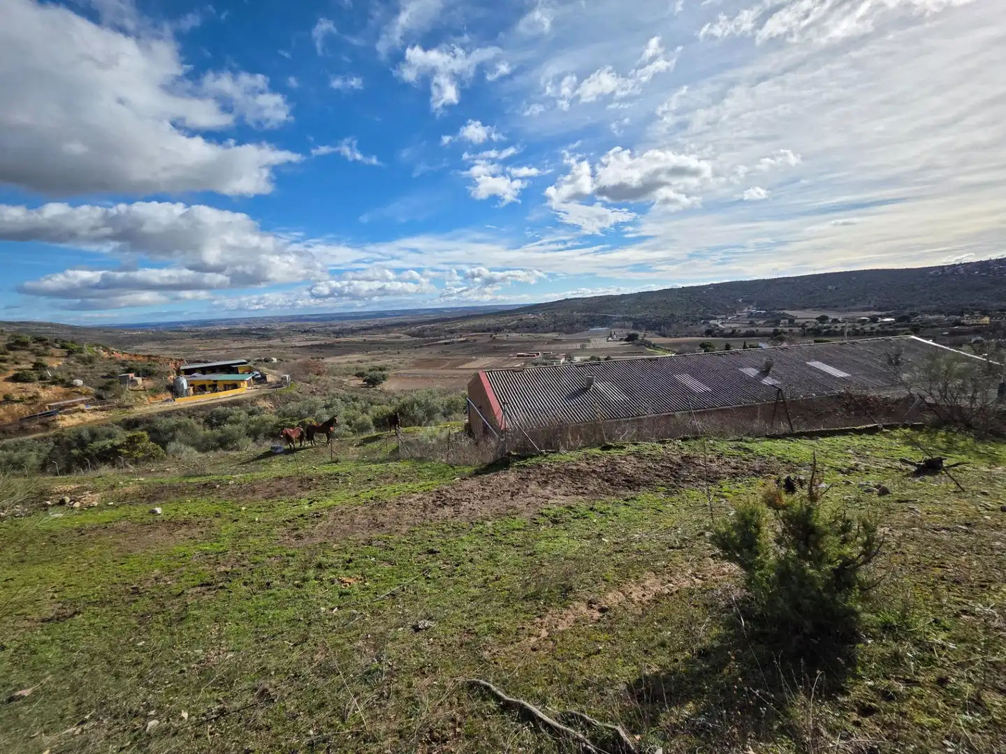 Fabrikhallen zum Verkauf in Cabanillas de la Sierra