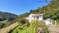 Vista exterior de Casa o xalet en venda en Ribera de Arriba amb Terrassa