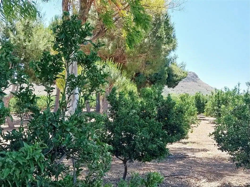 Casa amb jardí en venda a 30334 1, imagen 38
