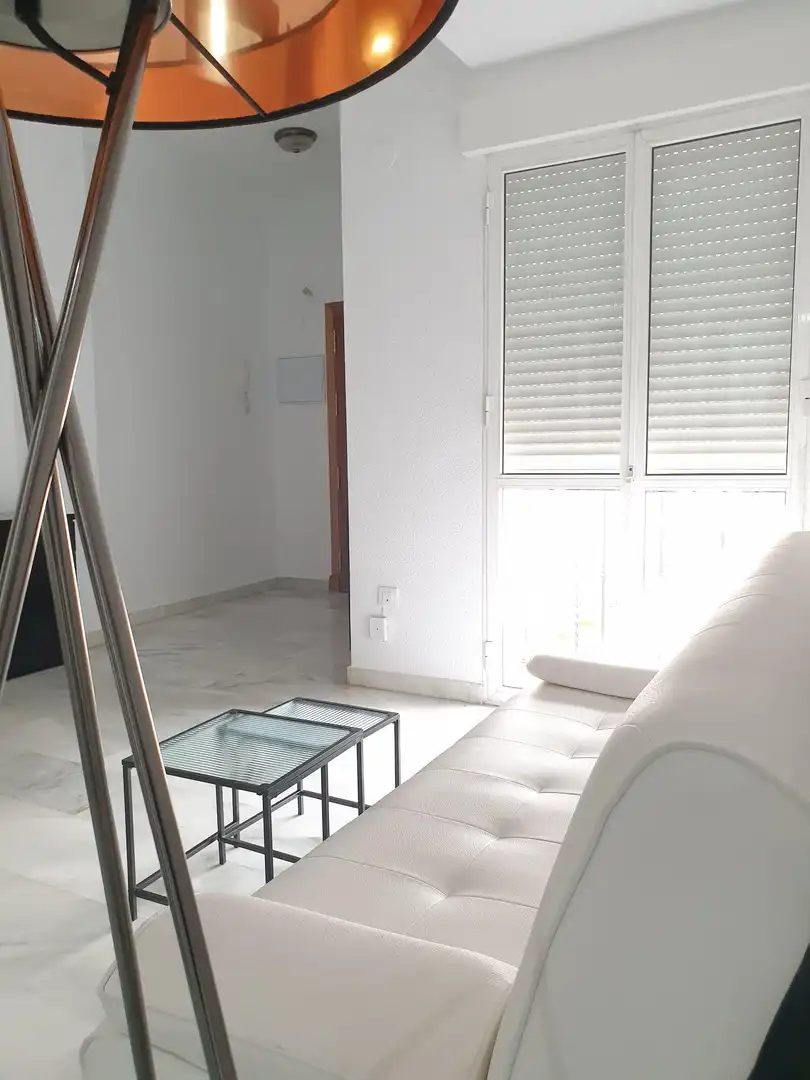 Sala d'estar de Pis de lloguer en Sevilla amb Aire condicionat, Calefacció i Moblat