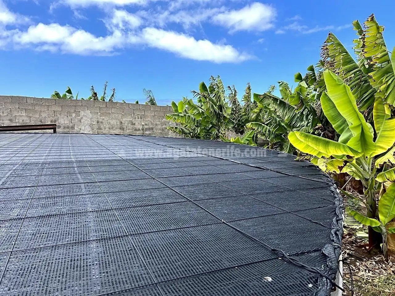 Vista exterior de Finca rústica en venta en Los Silos con Jardín privado y Terraza