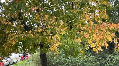 Photo 2 of Flat for sale in Zona Fernández Ladreda, Pontevedra