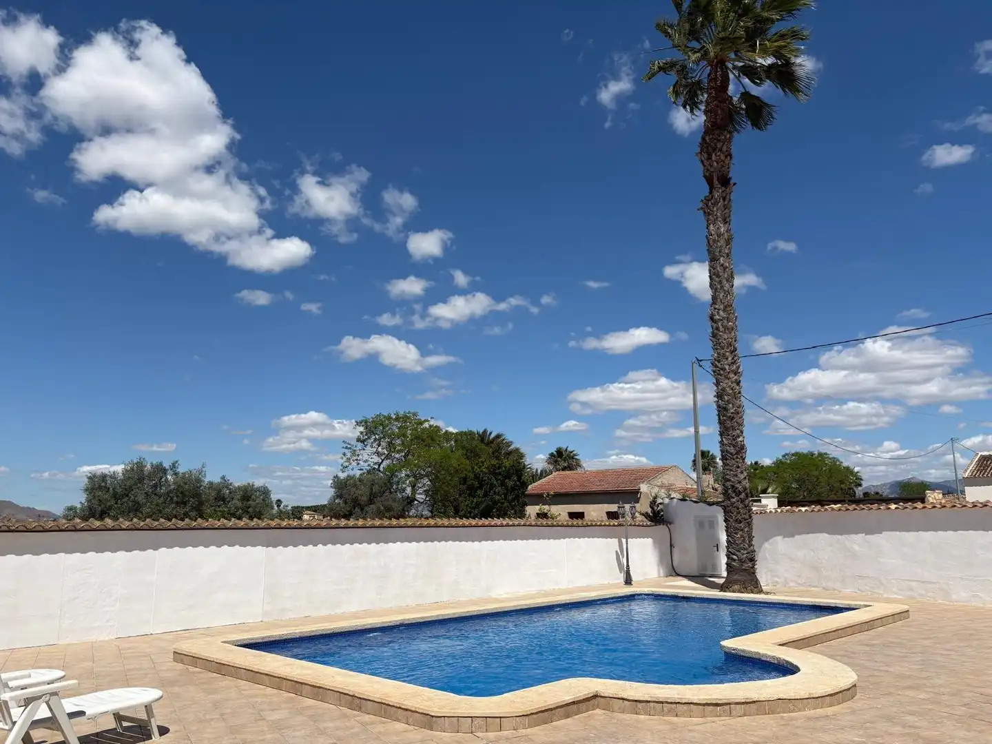 Piscina de Casa o chalet en venta en Catral con Jardín privado, Piscina y Amueblado