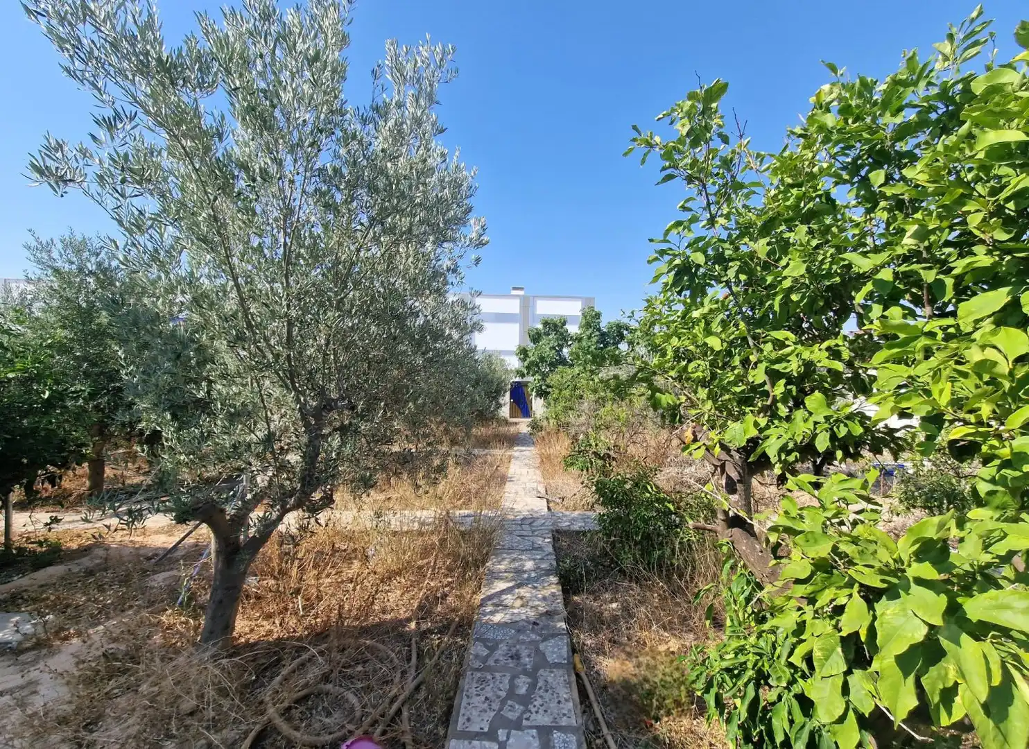 Residential land for sale in Rojales