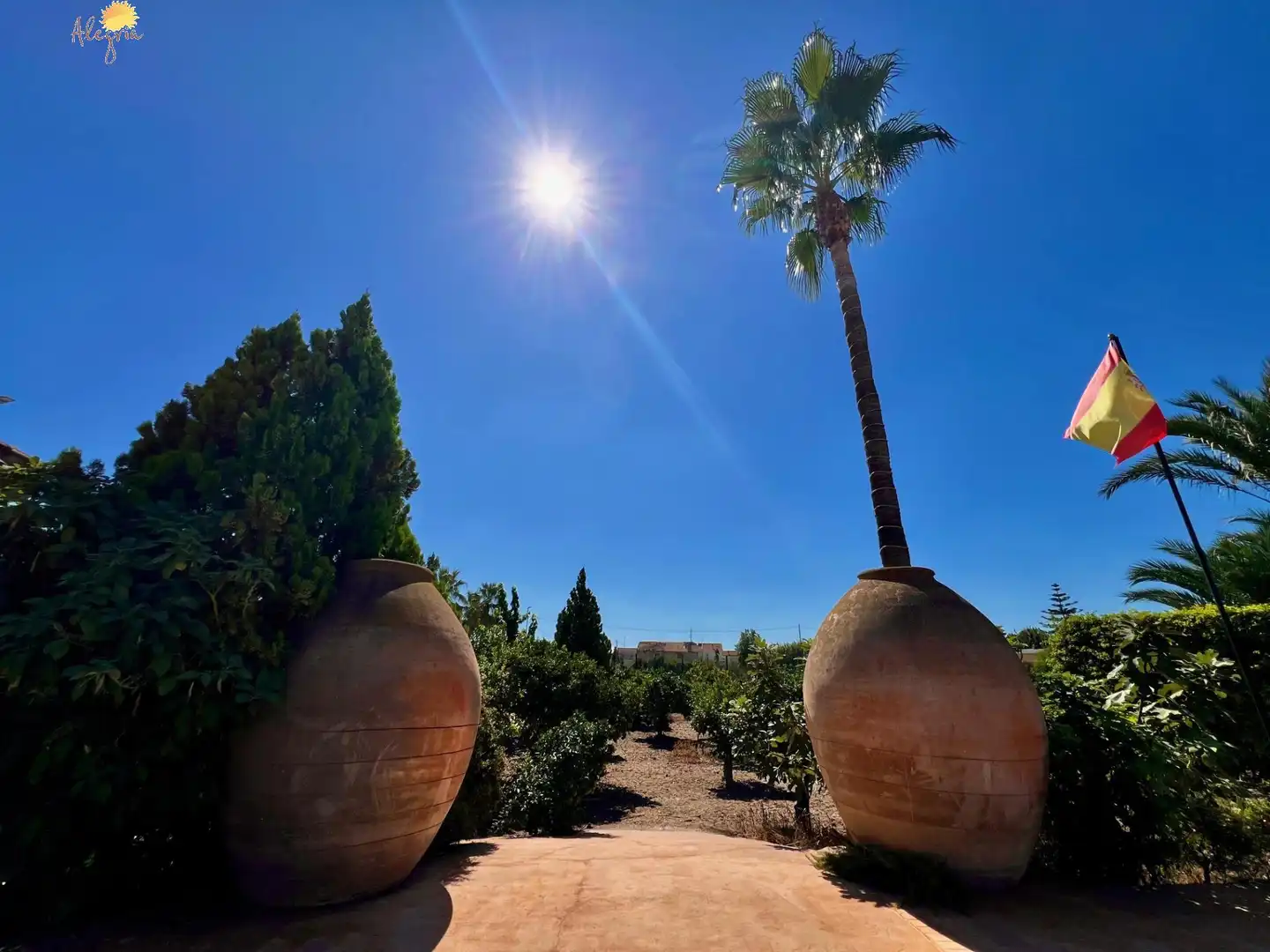 Villa avec piscine à vendre à Avenida Avenida Constitución, imagen 21