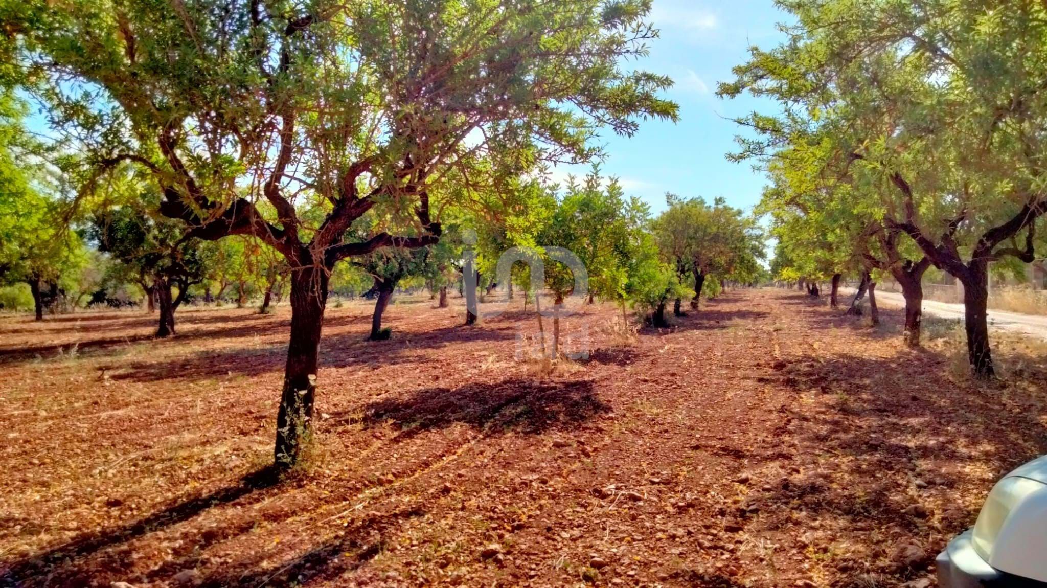 Residencial en venda en Marratxí