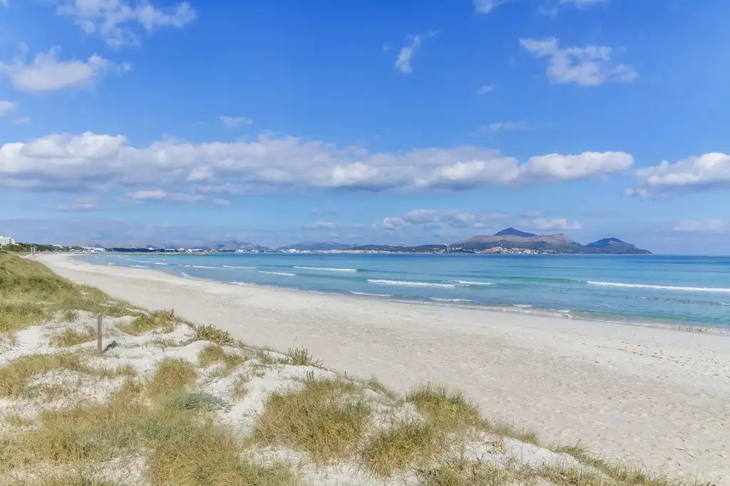 Vista exterior de Casa o xalet en venda en Alcúdia amb Aire condicionat, Calefacció i Jardí privat