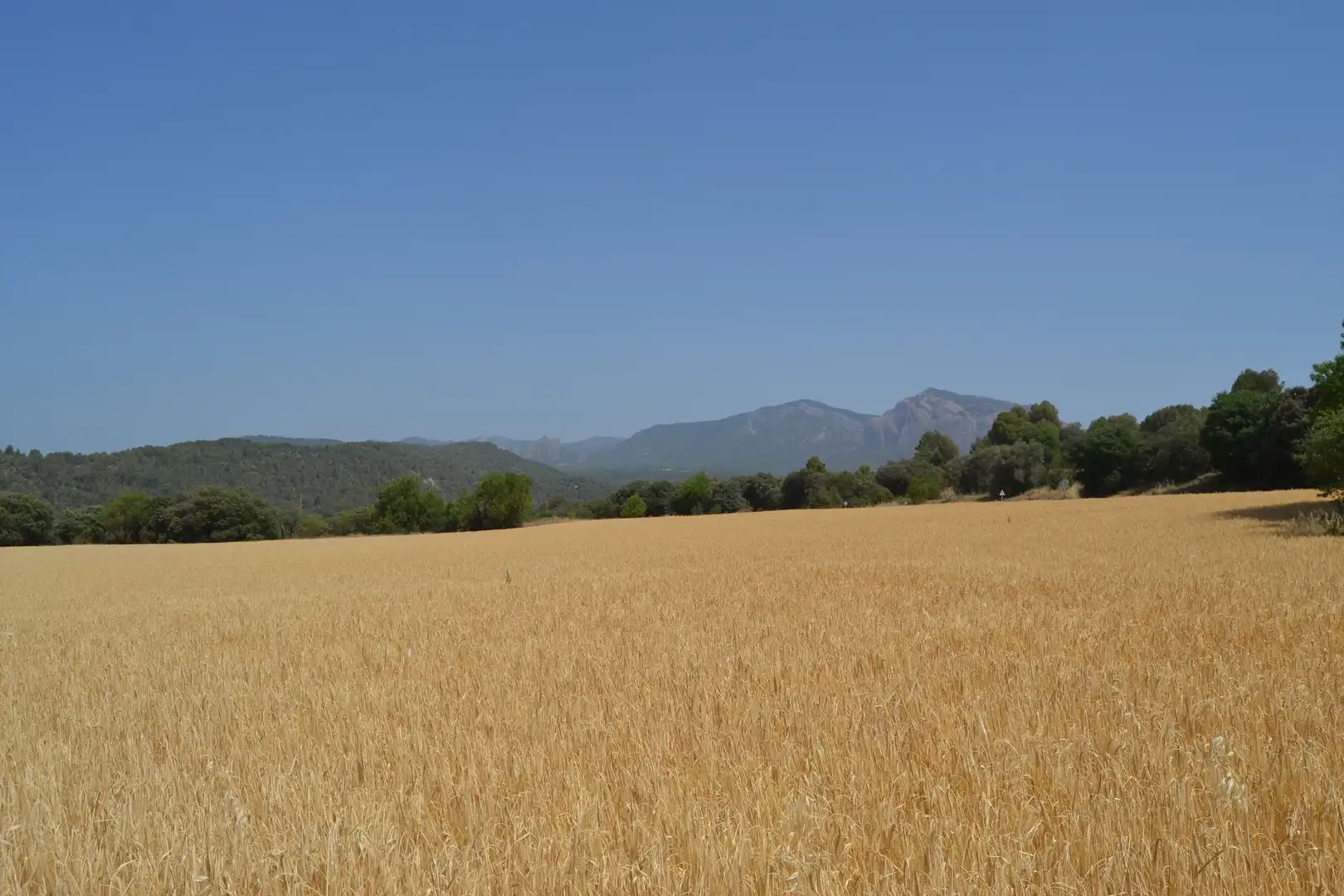 Finca rústica en venta en Murillo de Gállego con Terraza y Balcón