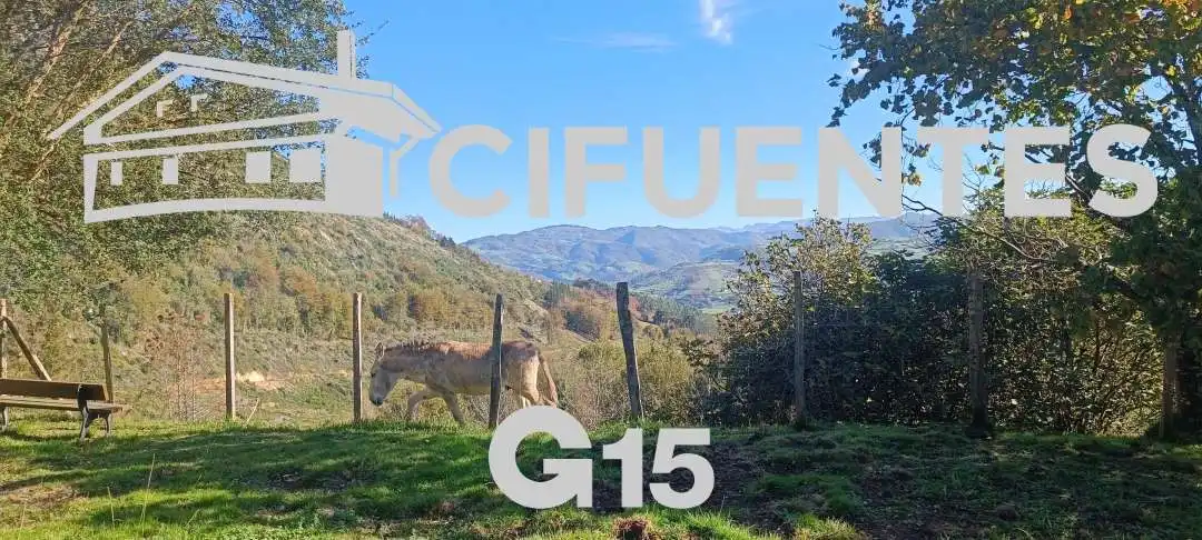 Vista exterior de Finca rústica en venta en Azkoitia con Calefacción, Trastero y Amueblado