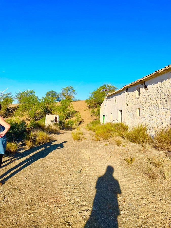 Finca rústica en venta