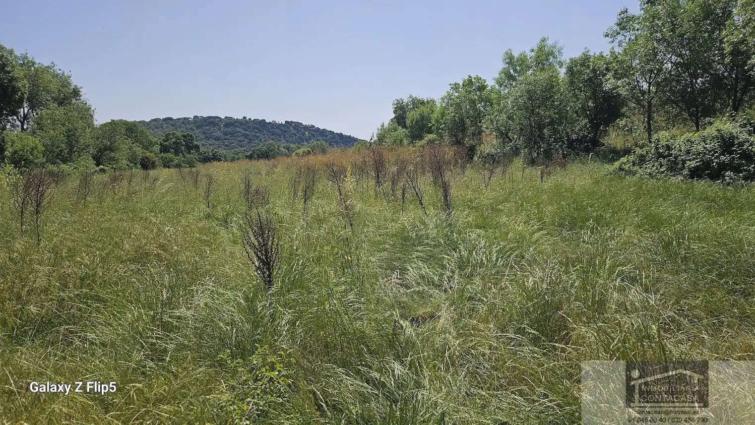 Finca rústica en venda en Miraflores de la Sierra