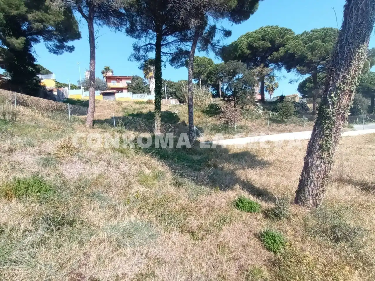 Grundstücke und Bauplätze zum Verkauf in Mas Mora - Sant Daniel, imagen 7