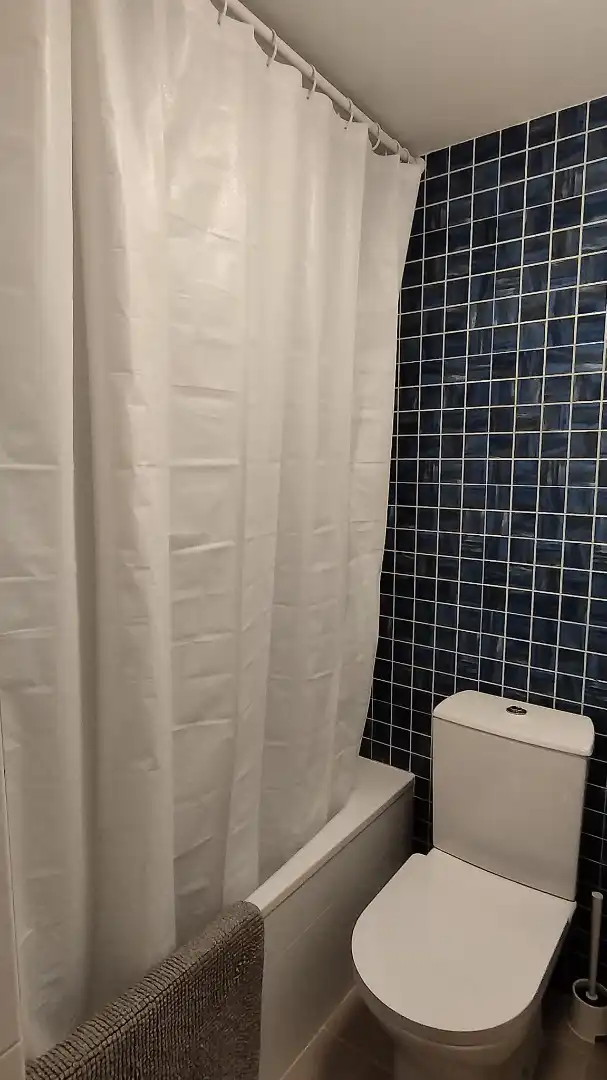 Bathroom of Flat for rent in Málaga  with Air Conditioner, Parquet flooring and Furnished