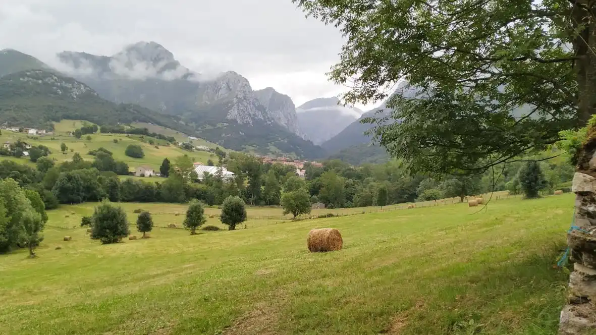 Vista exterior de Finca rústica en venta en Cabrales con Calefacción, Amueblado y Horno