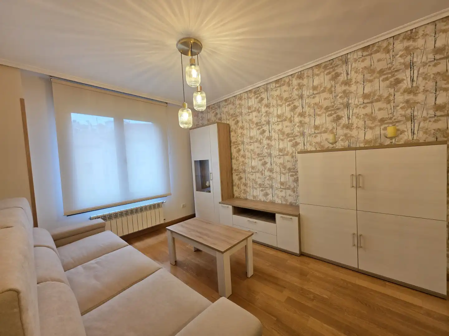 Sala d'estar de Pis de lloguer en Oviedo  amb Calefacció, Parquet i Traster