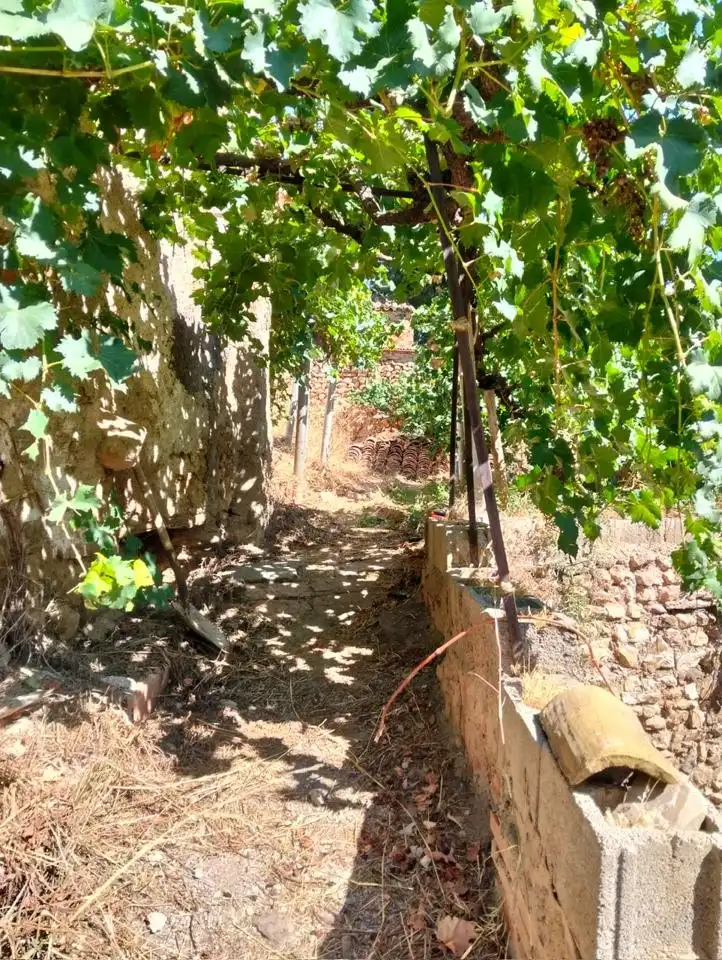 Maison avec jardin à vendre à Camino Casa del Lugar, imagen 49