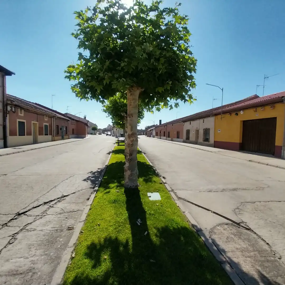 Vista exterior de Casa o xalet en venda en Matapozuelos amb Calefacció, Jardí privat i Terrassa