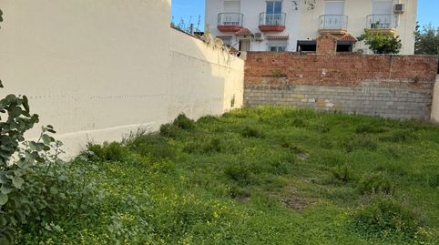 Imatge 4 de l'anunci