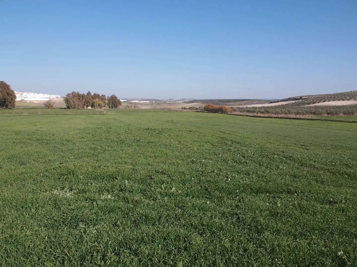 Country homes for sale in Marchena  with Terrace and Swimming Pool