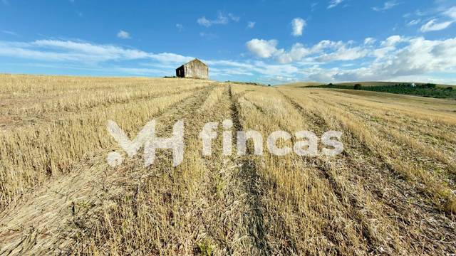 Terreno en Venta en Pedanías Sur