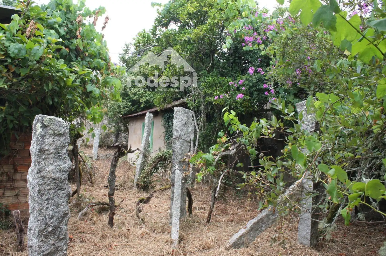 House for sale in Salvaterra de Miño, imagen 18