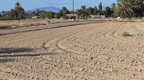 Photo 5 of Land for sale in N/a, -1, La Algoda - Matola - Llano de San José, Elche / Elx