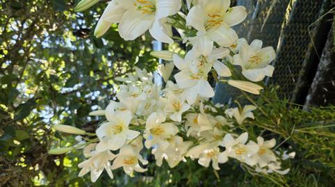 Photo 4 of House or chalet for sale in Cm Callejas         Ru P, Cervera de Pisuerga, Palencia