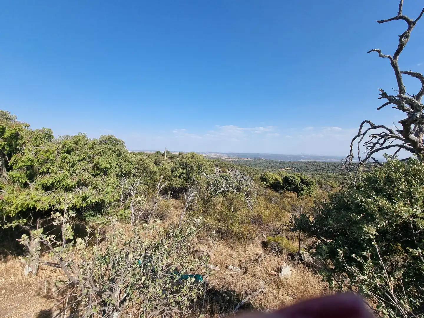 Land for sale in Colmenar Viejo