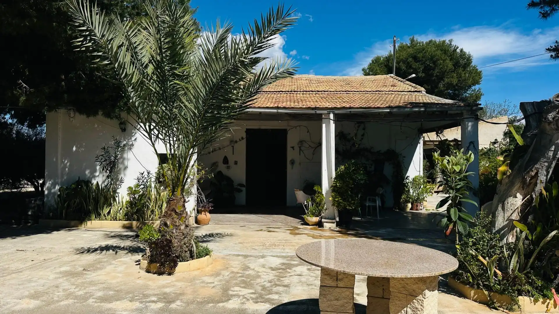 Vista exterior de Casa o xalet en venda en Elche / Elx amb Jardí privat, Traster i Piscina