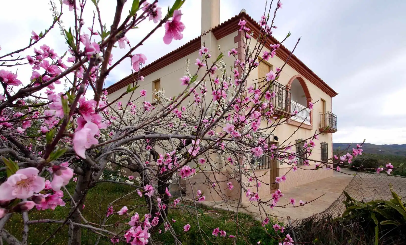 Casa rústica amb terrassa en venda a Camino de la Ermita, imagen 8