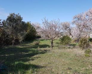 Finca rústica en venda en  Huesca Capital