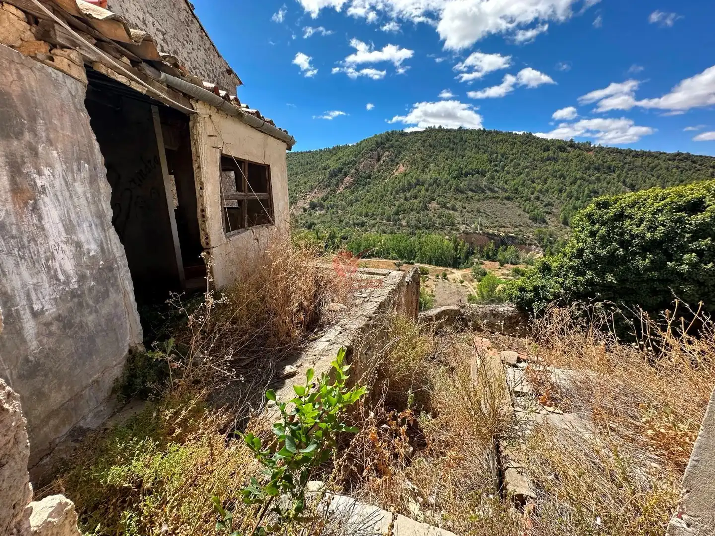 Vista exterior de Casa o chalet en venta en Priego con Calefacción, Jardín privado y Trastero