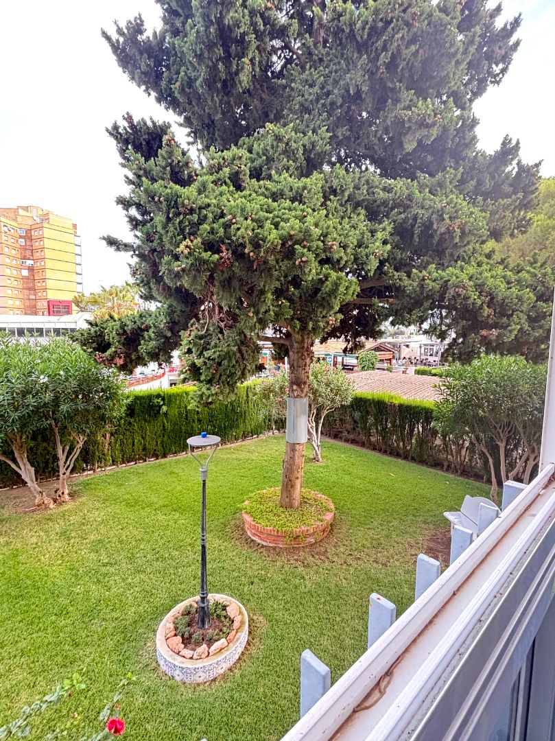 Jardí de Pis en venda en Orihuela amb Moblat, Forn i Rentadora