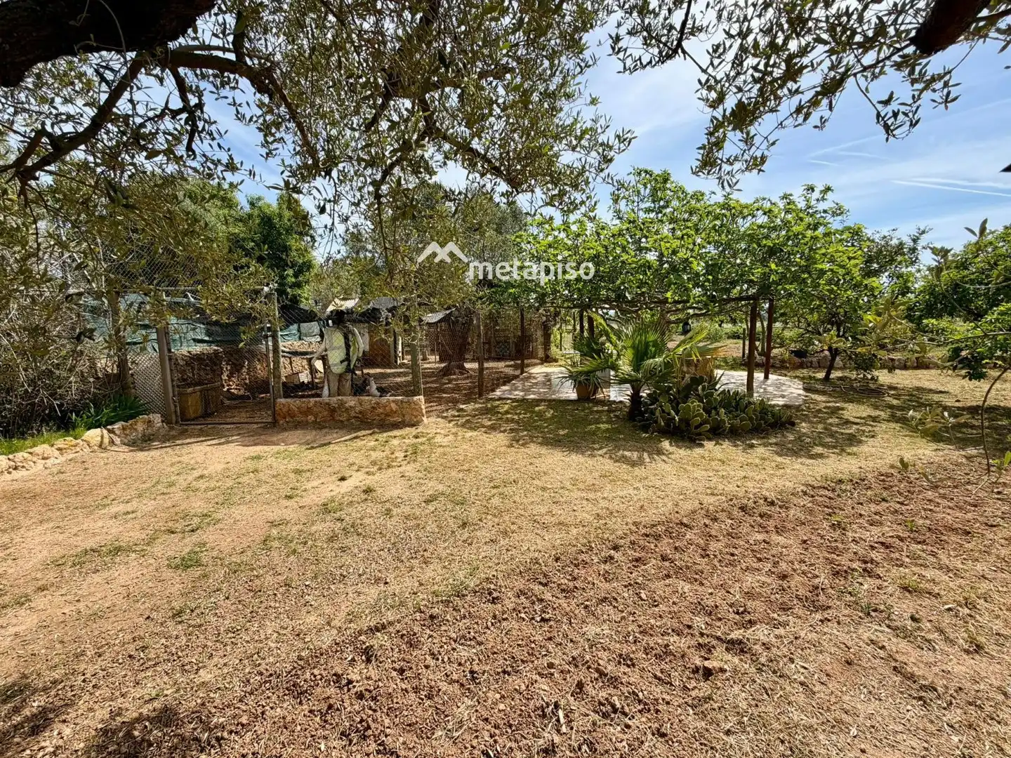 Terreno rustico in vendita a Santa Oliva, imagen 9