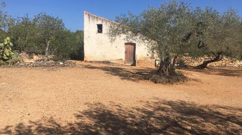 Finca rústica de 9 Hectáreas de olivos.