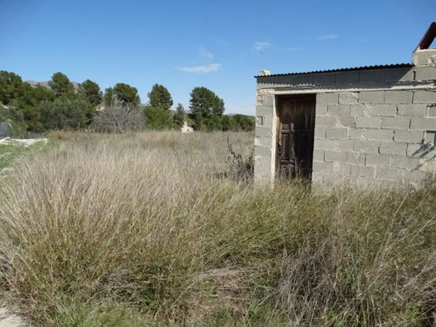Terreny rústic en venda a Moratalla, imagen 18