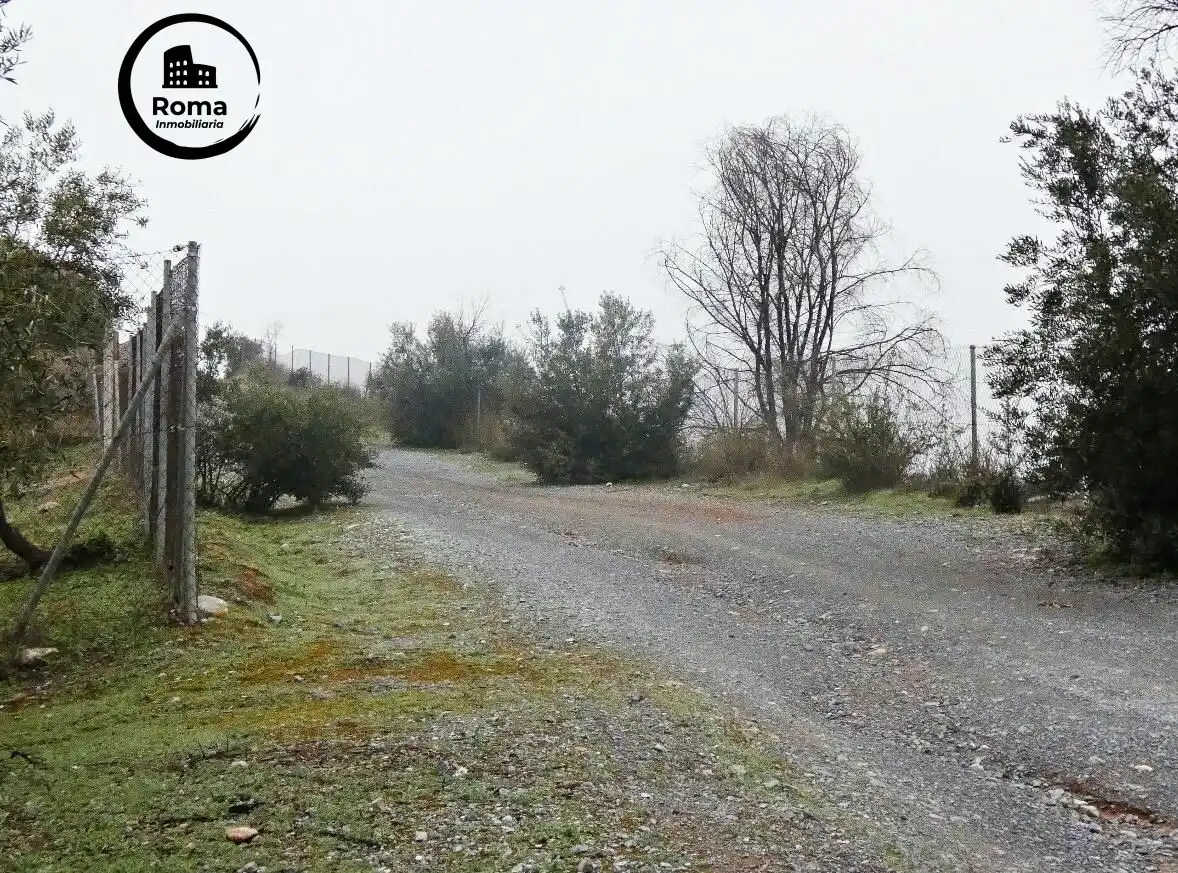 Terrain rustique à vendre à Peligros, imagen 18