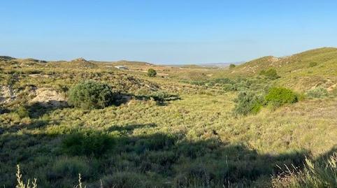 Foto 3 de Finca rústica en venta en Avenida Avenida del Puntarrón, Puntarrón, Murcia