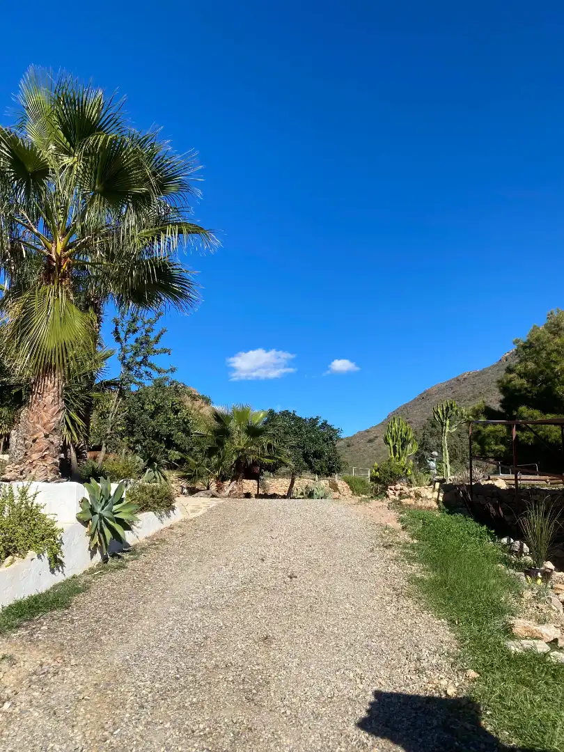 Casa rústica amb piscina en venda a Tébar - Los Arejos, imagen 22