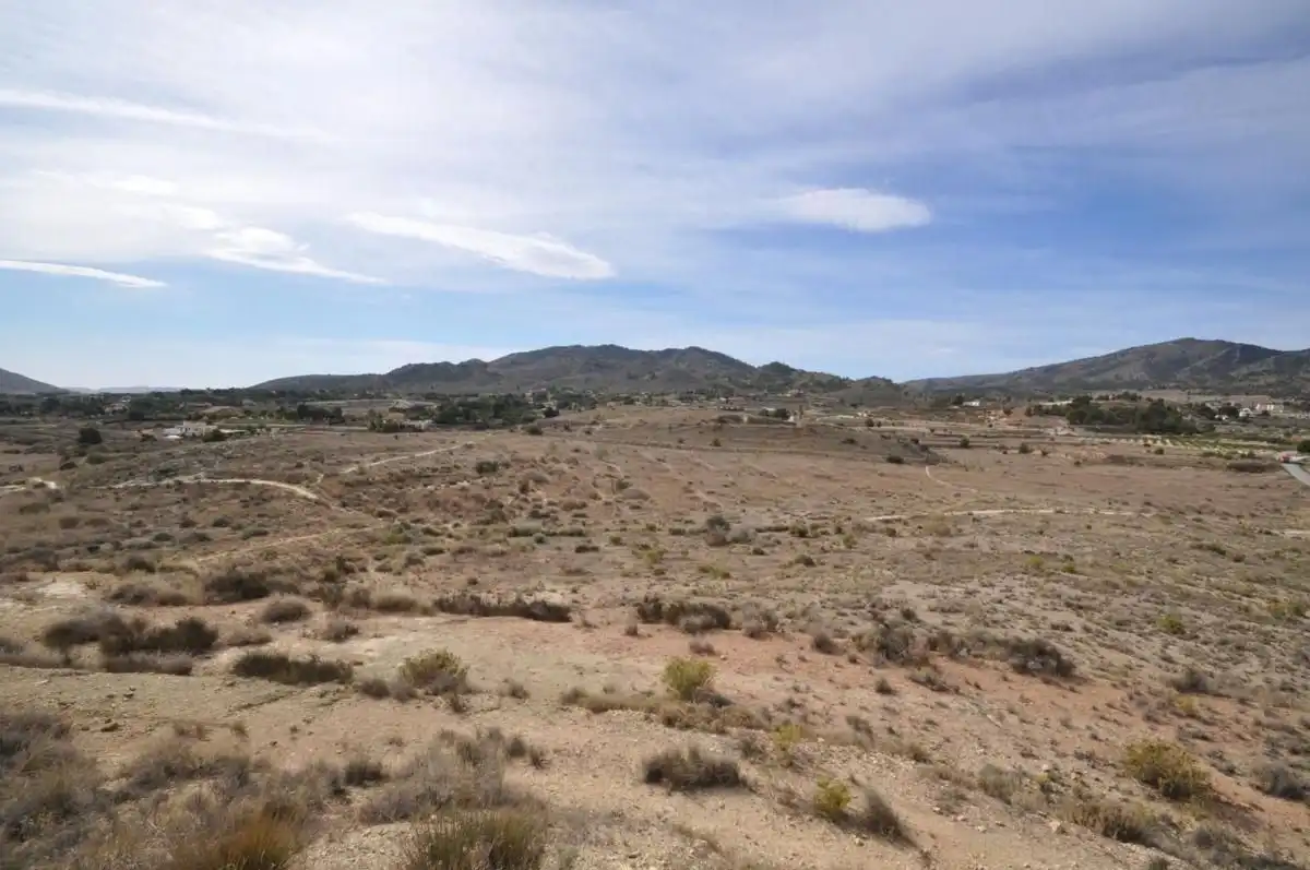 Detached house for sale in Monóvar  / Monòver, imagen 19
