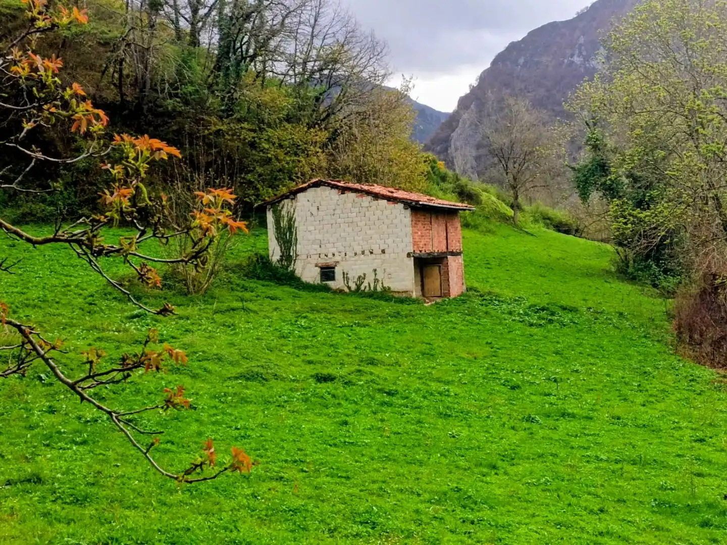 Terreny rústic en venda a Carretera as117 Sn, imagen 45