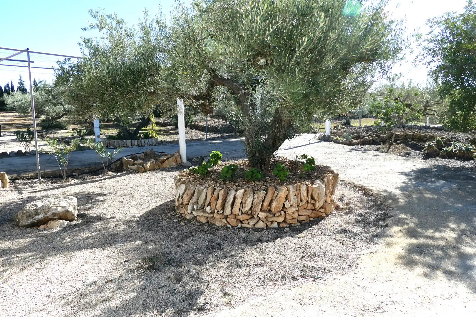 Jardí de Finca rústica en venda en L'Ampolla amb Aire condicionat, Jardí privat i Piscina